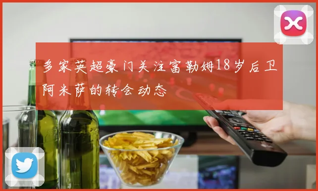 多家英超豪门关注富勒姆18岁后卫阿米萨的转会动态