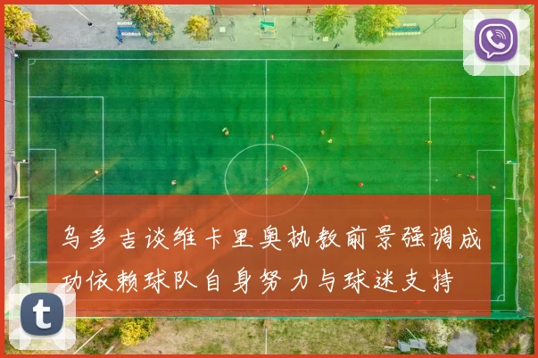 乌多吉谈维卡里奥执教前景强调成功依赖球队自身努力与球迷支持