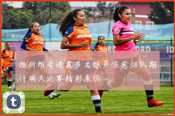 扬科维奇透露多名球员伤愈归队期待明天比赛精彩表现