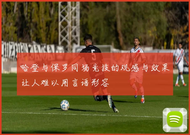 哈登与保罗同场竞技的观感与效果让人难以用言语形容